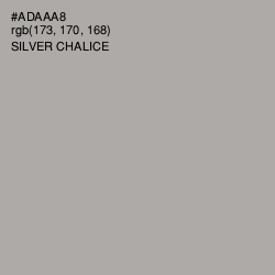 #ADAAA8 - Silver Chalice Color Image